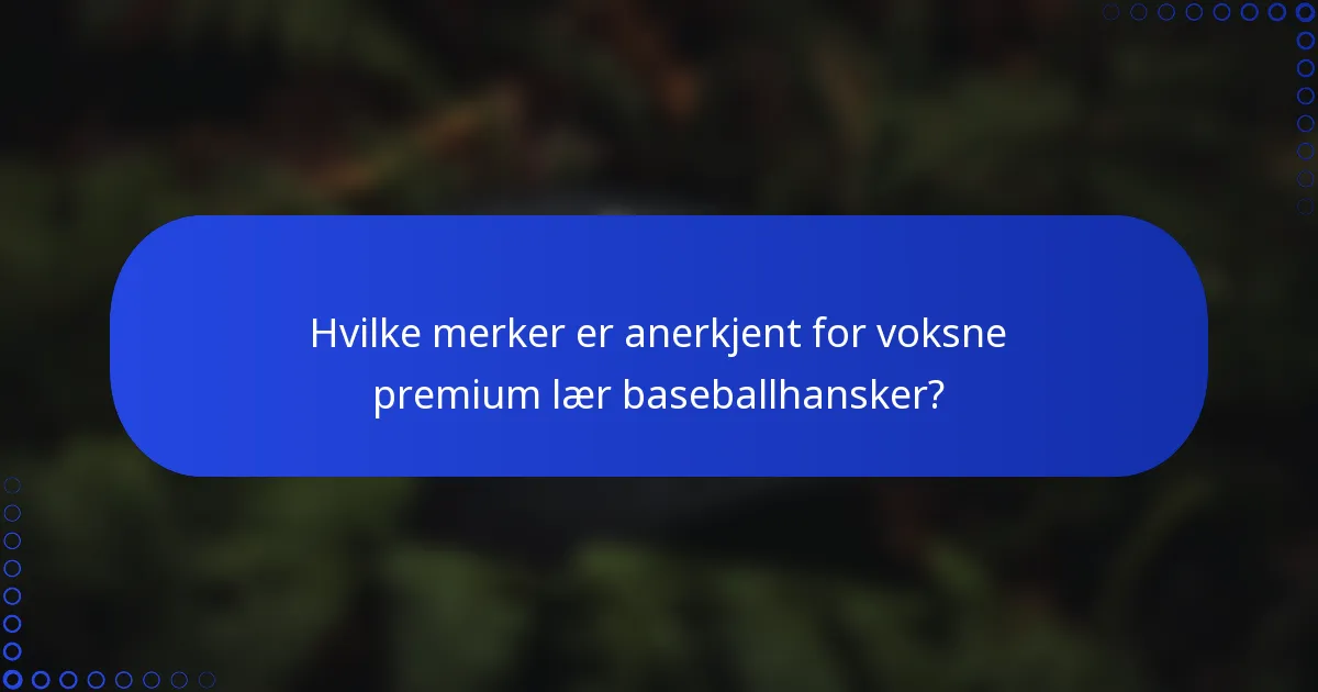 Hvilke merker er anerkjent for voksne premium lær baseballhansker?