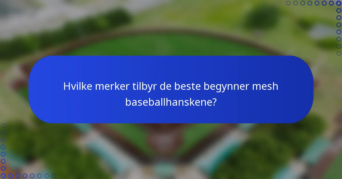 Hvilke merker tilbyr de beste begynner mesh baseballhanskene?