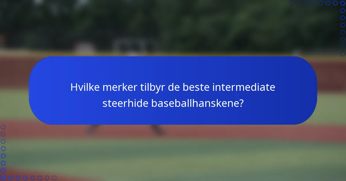 Hvilke merker tilbyr de beste intermediate steerhide baseballhanskene?