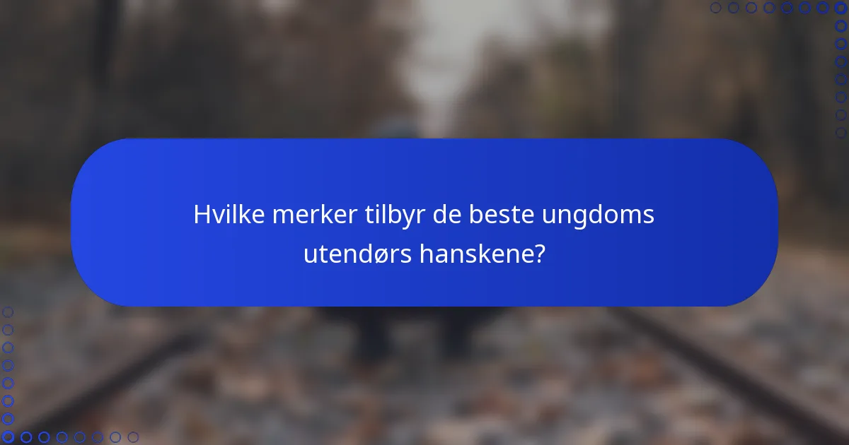 Hvilke merker tilbyr de beste ungdoms utendørs hanskene?