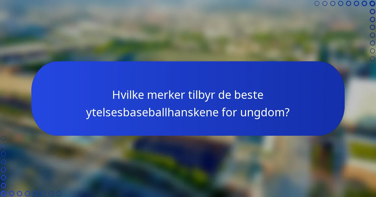 Hvilke merker tilbyr de beste ytelsesbaseballhanskene for ungdom?