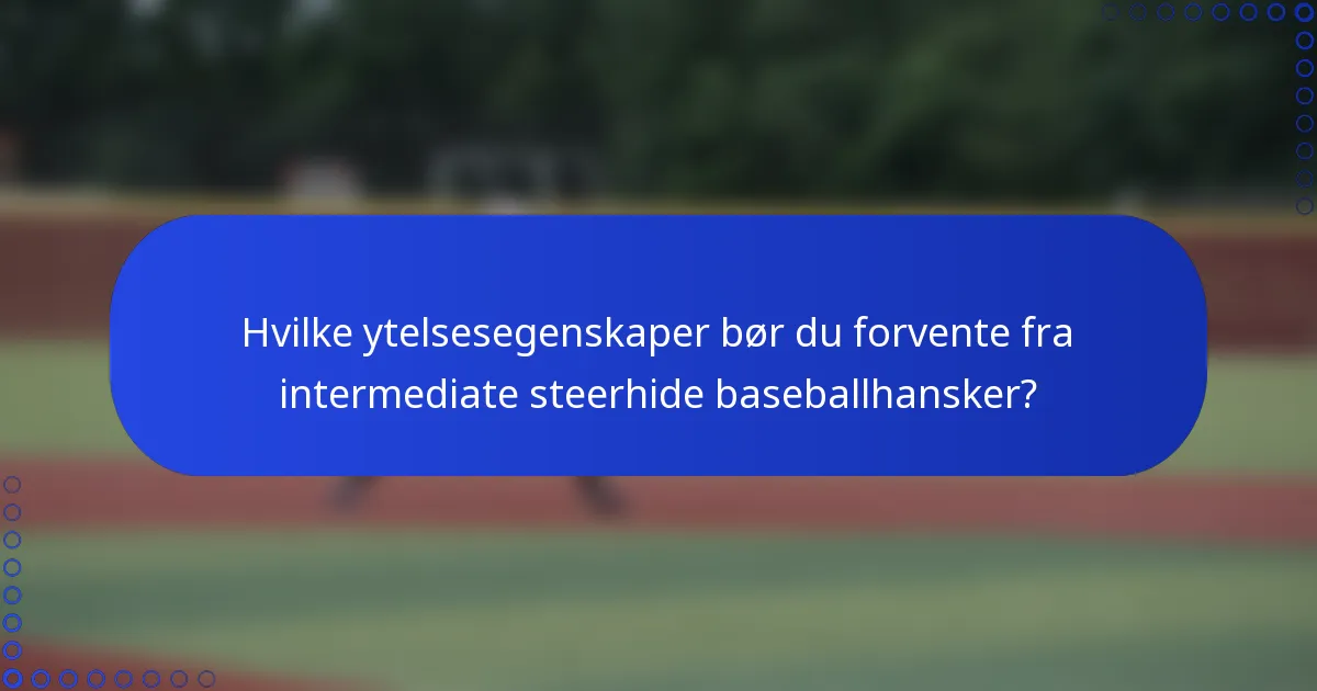 Hvilke ytelsesegenskaper bør du forvente fra intermediate steerhide baseballhansker?